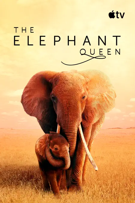 The Elephant Queen